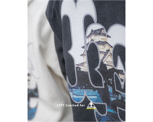 lfyt_inception_model_1350_3