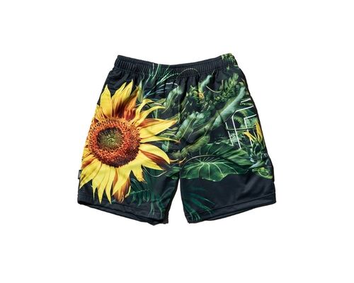 06ba53d2068c6c32fee33d239b2ead3b