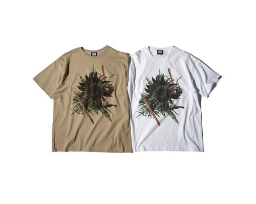 5fc55147351ace8e8471660ac1ae9a16