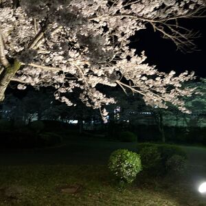 IMG_4145